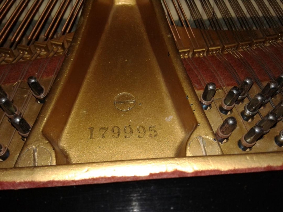 Steinway M Grand Piano Image 3