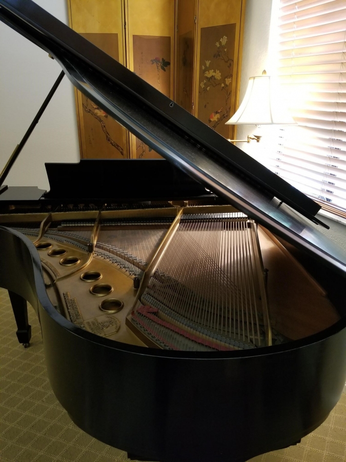 Steinway M Model Grand 56 Image 3