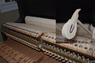 Steinway Sons Model C Grand Piano Image 5