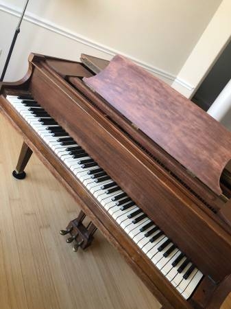 Beautiful Brown Baby Grand Reduced Price 300 Image 3