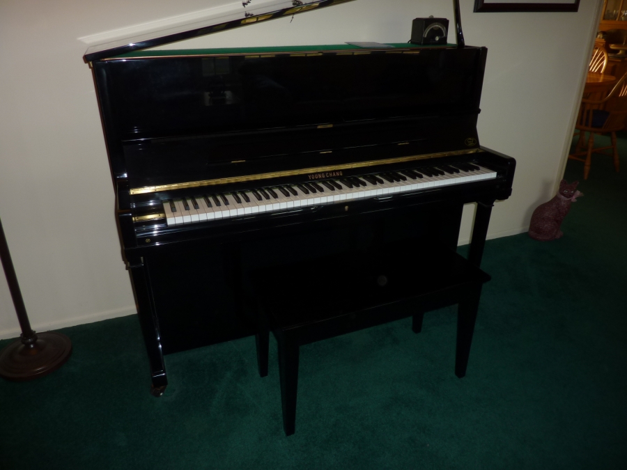 Young Change Studio Piano Pramberger Series Image 4