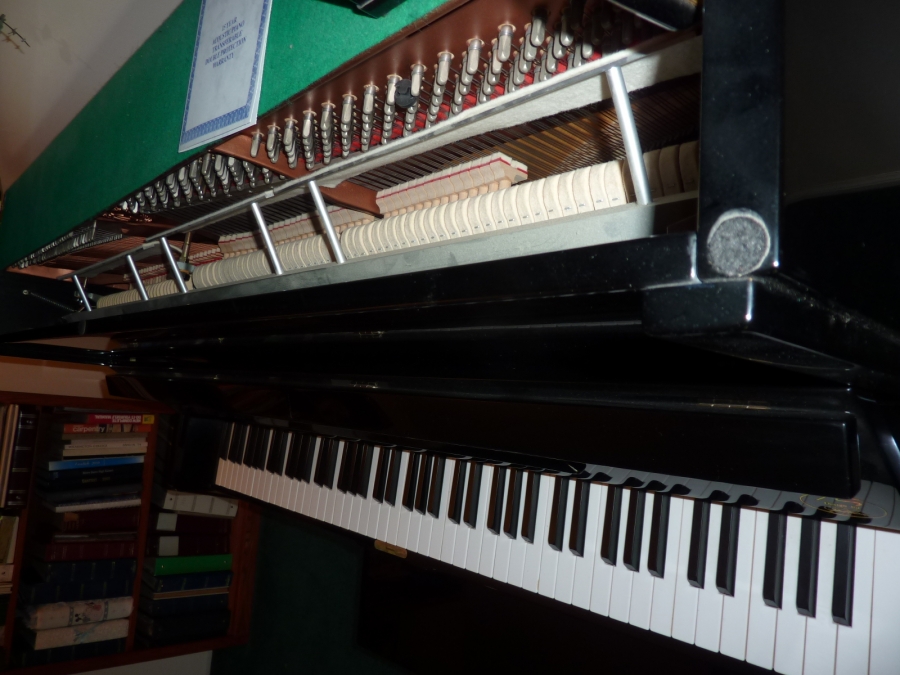 Young Change Studio Piano Pramberger Series Image 5