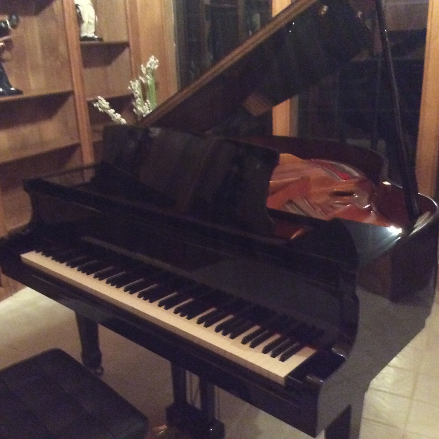 Pearl River Baby Grand piano for sale Dallas Image 2