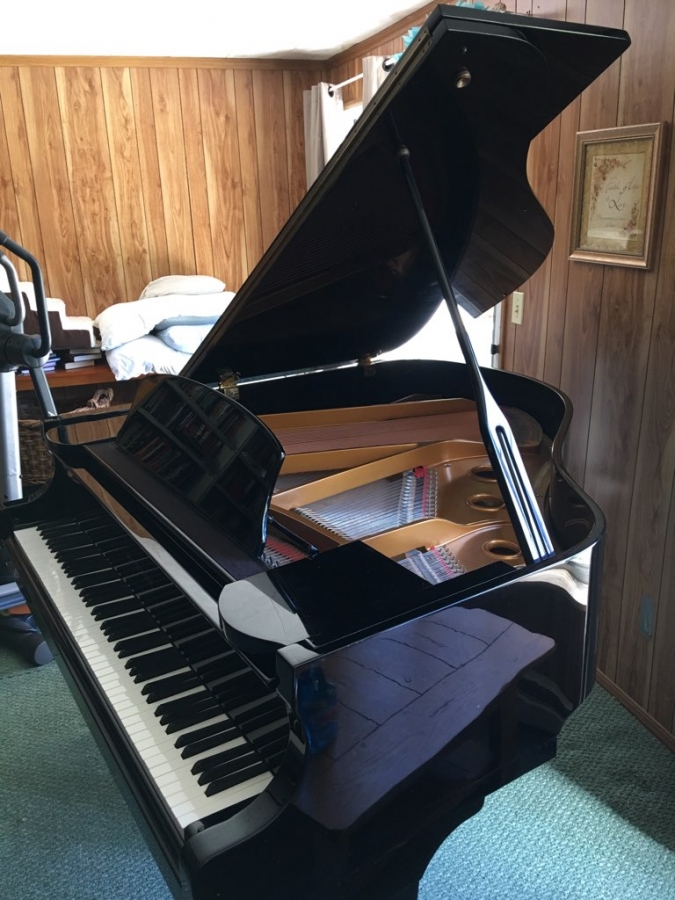 Baby Grand Piano Image 1