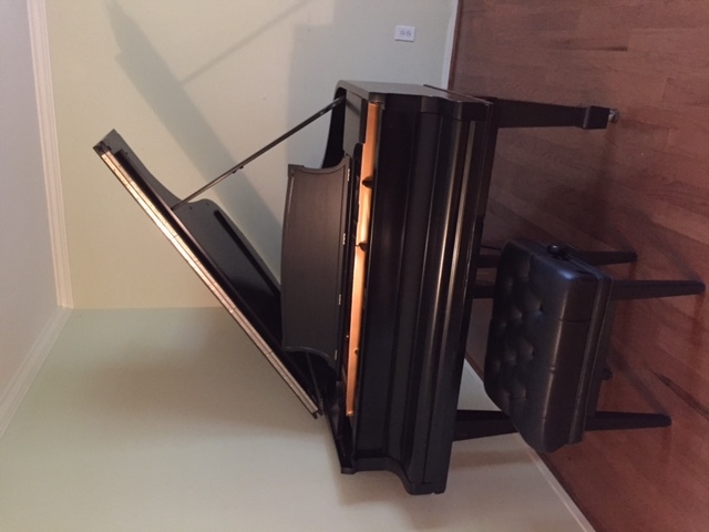 Early 1900s Steinway B Grand Piano Image 1