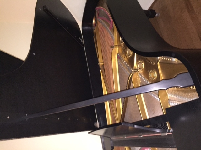 Early 1900s Steinway B Grand Piano Image 3