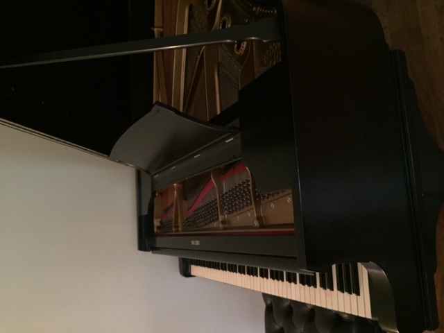 Early 1900s Steinway B Grand Piano Image 4