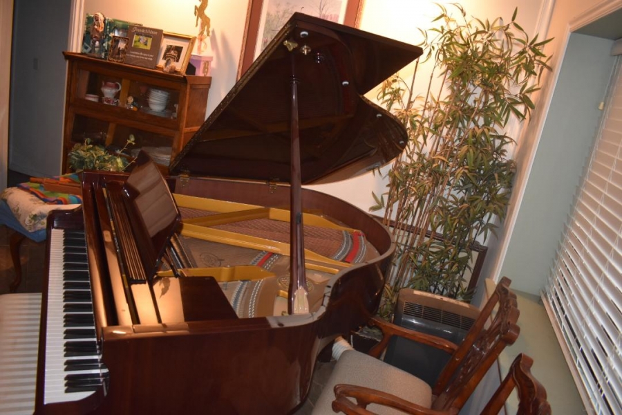 Petrof Baby Grand Image 2
