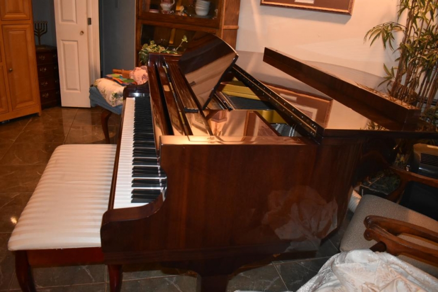 Petrof Baby Grand Image 3