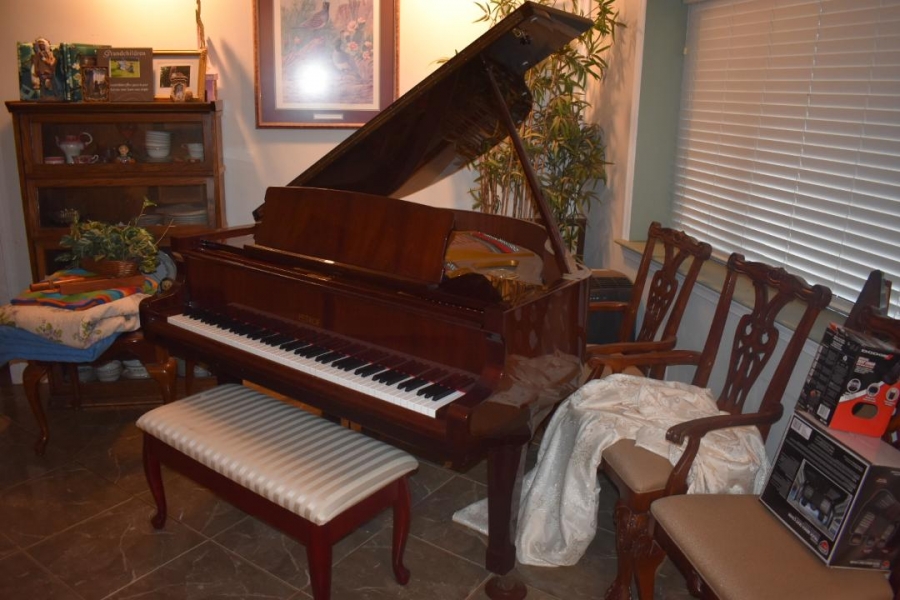 Petrof Baby Grand Image 4